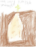 Kid’s Art of One Seed