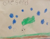 Kid’s Art of One Seed