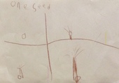 Kid’s Art of One Seed