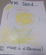 Kid’s Art of One Seed