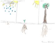 Kid’s Art of One Seed