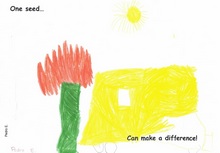 Kid’s Art of One Seed