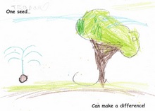 Kid’s Art of One Seed