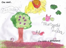 Kid’s Art of One Seed