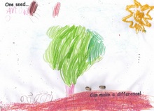 Kid’s Art of One Seed