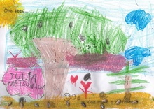 Kid’s Art of One Seed