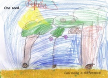 Kid’s Art of One Seed