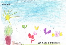 Kid’s Art of One Seed