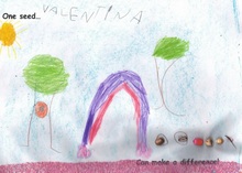 Kid’s Art of One Seed