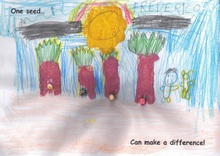 Kid’s Art of One Seed