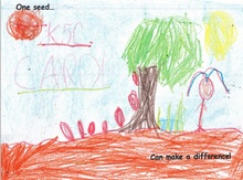Kid’s Art of One Seed