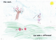 Kid’s Art of One Seed