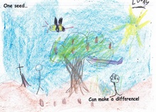 Kid’s Art of One Seed