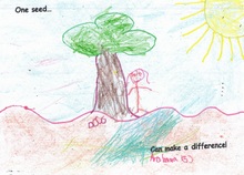 Kid’s Art of One Seed