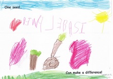 Kid’s Art of One Seed