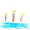 Kid’s Art of One Seed