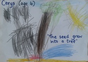 Kid’s Art of One Seed