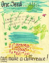 Kid’s Art of One Seed