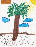 Kid’s Art of One Seed