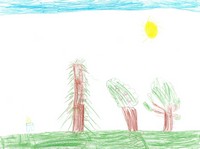 Kid’s Art of One Seed