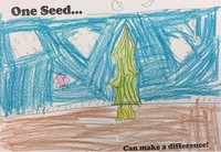 Kid’s Art of One Seed