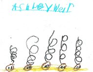 Kid’s Art of One Seed