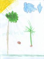 Kid’s Art of One Seed