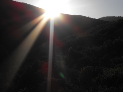 Windstar 2010 Volunteer Work Weekend